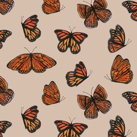 Meet your Posher, Maria - Picture 1 of 1